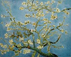 Van Gogh Almond branches