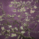 Almond Blossoms Van Gogh