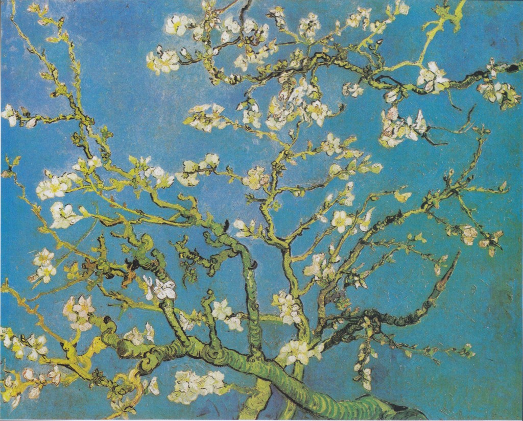 Van Gogh Almond Branches